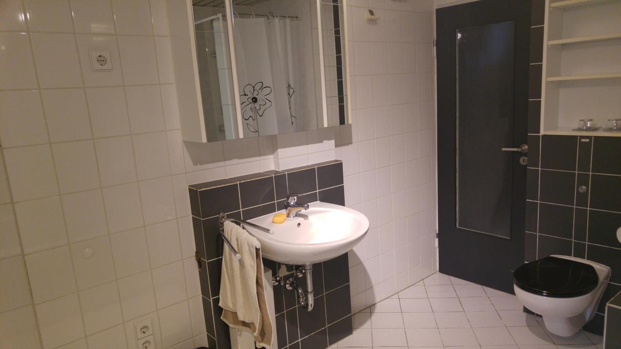הוכנהיים אם מיין Apartment Rhein Main חדר תמונה